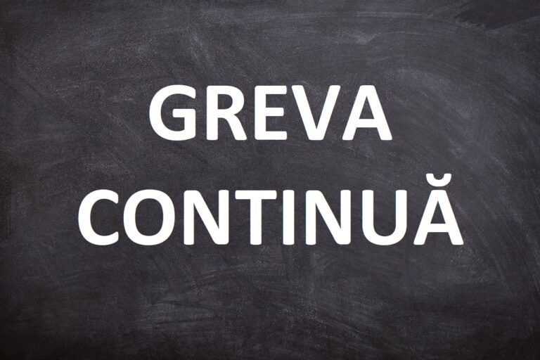 Negocierile cu Guvernul esuează: Sindicatele din Educație resping oferta Executivului și continuă greva