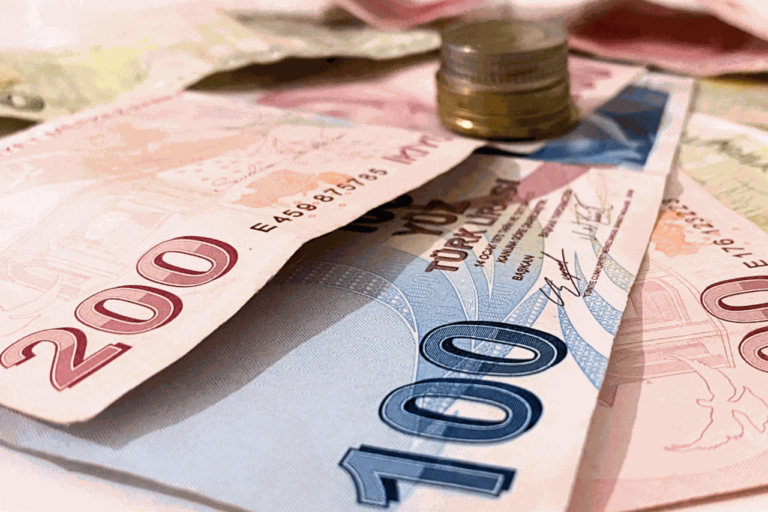 Victoria Erdogan trimite lira la minim