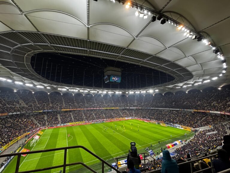 Câți fani sunt așteptați la meciul Hoffenheim – FCSB?