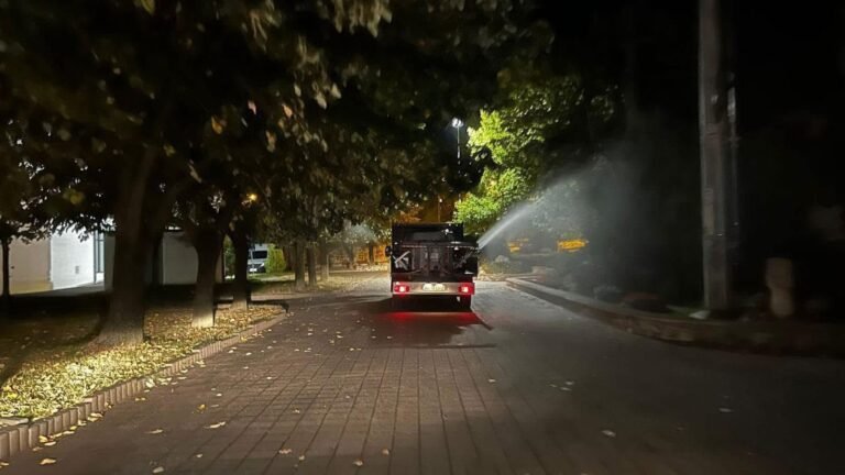 Dezinsecție de amploare în Pitești în noaptea de 11 spre 12 august – avertisment pentru locuitori și apicultori
