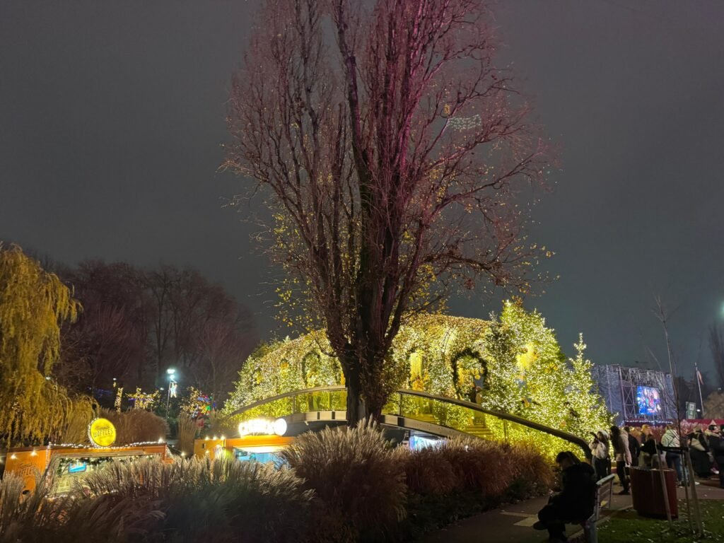 Bucureștiul va fi iluminat de Crăciun cu șase milioane de luminițe