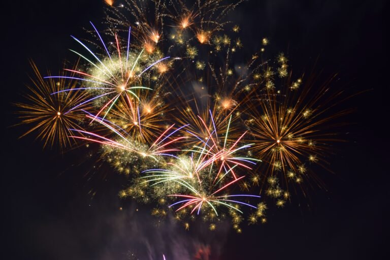 Revelion fără artificii în marile orașe! Primăriile renunță la show-uri pirotehnice pentru a salva animalele